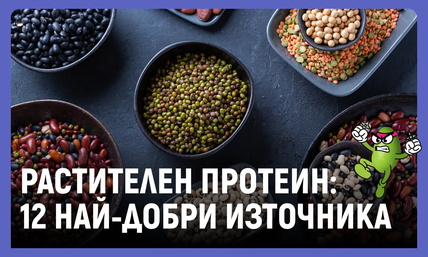 растителен протеин